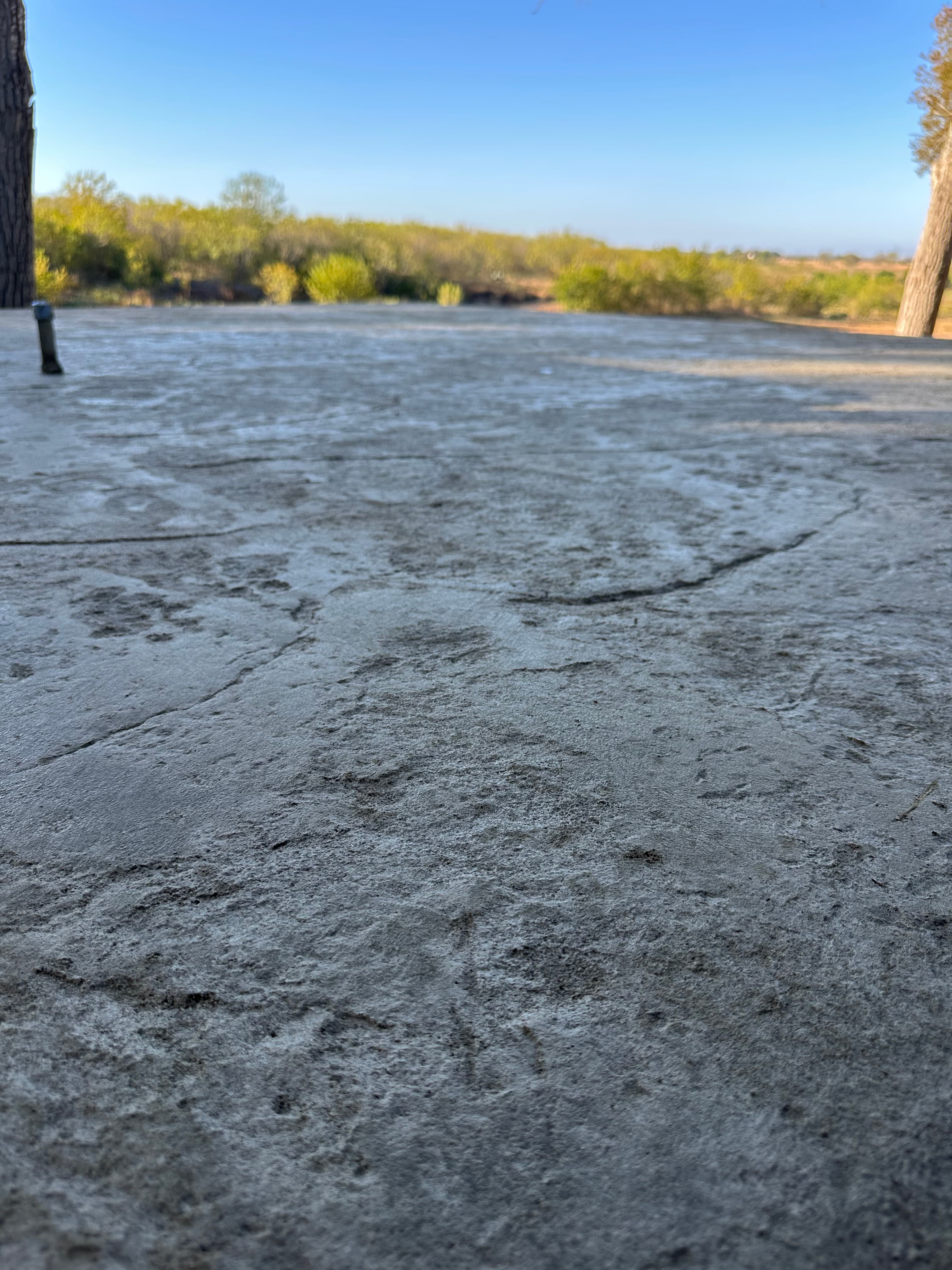 Stamped and Colored Concrete